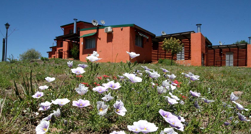 cabaña1dormitorio-4